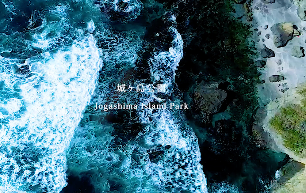 城ヶ島公園（Jogashima Island Park）Drone Movies